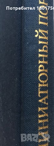 Миниатюрный портрет в России XVIII века - А. А. Карев, снимка 7 - Специализирана литература - 28734217