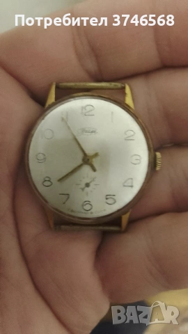 часовник Зим