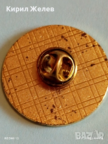 Рядка емайлирана значка ГЕРМАНСКА БОКСОВА ФЕДЕРАЦИЯ за КОЛЕКЦИЯ 52818, снимка 7 - Колекции - 53081292