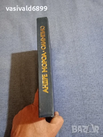 Андре Мороа - Олимпио или животът на Виктор Юго , снимка 2 - Художествена литература - 50996801