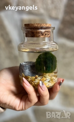 Маримо-топка на мечтите, снимка 4 - Подаръци за жени - 51866871