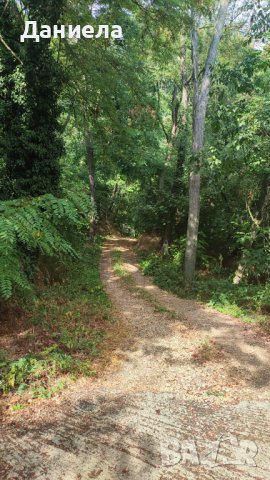 Инвестиционен парцел за застрояване в местност Сотира , снимка 3 - Парцели - 38047724