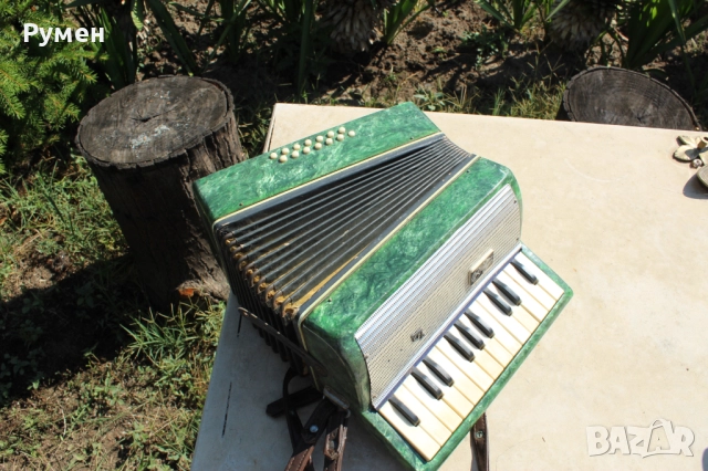 Акордеон - детски