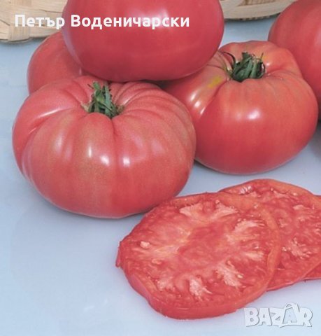 Био семе, расат на един от най-вкусните салатни сортове домати със супер, снимка 4 - Разсади - 37438041