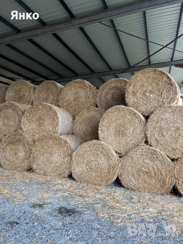 Бали слама ролонни, снимка 2 - За селскостопански - 52337096