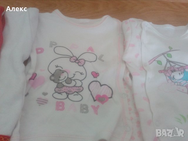 Лот ританки