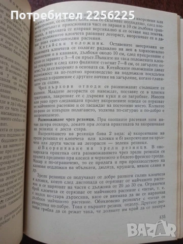 Практическо овощарство, снимка 4 - Специализирана литература - 50611699