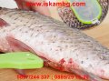 НОЖ ЗА ЧИСТЕНЕ НА РИБА FISH SCALE REMOVER - код 1825, снимка 10