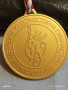 Спортен медал БФ ХУДОЖЕСТВЕНА ГИМНАСТИКА първо място рядък за КОЛЕКЦИЯ 52232, снимка 3