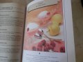 Руска готварска книга за печива, сладкиши, вафли, торти, коктейли, сладоледи и други, снимка 5