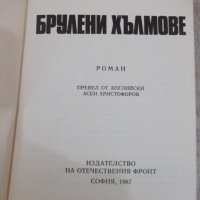 Книга "Брулени хълмове - Емили Бронте" - 470 стр., снимка 2 - Художествена литература - 32967659