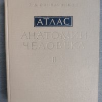 Атлас анатомии человека на Р.Д. Синельников, снимка 2 - Специализирана литература - 43690043