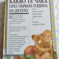 Книга Какво те чака през първата година на детето, снимка 1 - Специализирана литература - 42969641
