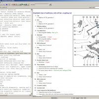 ElsaWin 6.0 VW , Audi , Skoda , Seat Ръководство за ремонти VAG група, снимка 4 - Сервизни услуги - 33411681