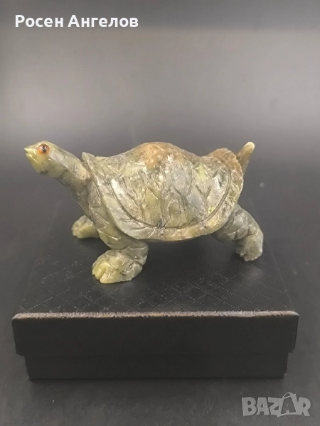 Нефритена Костенурка , снимка 1