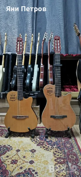 Godin Multiac, снимка 1