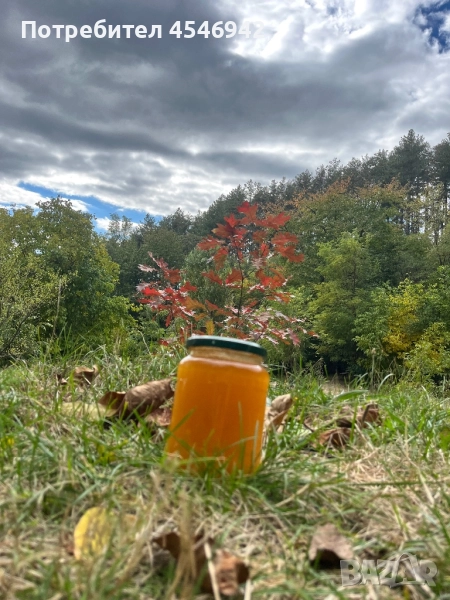 Пчелен мед букет, снимка 1