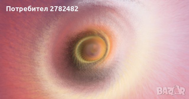 Дигитални картини, снимка 4 - Декорация за дома - 38614217