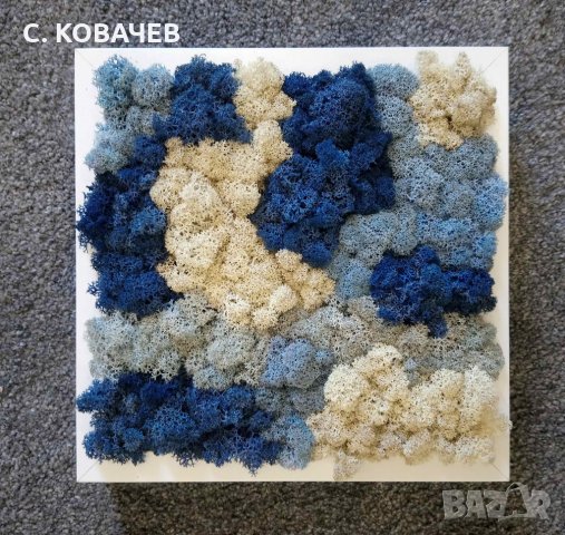 Уникални, модерни,свежи живи картини от естествен мъх.Градина в дома, снимка 6 - Декорация за дома - 19336040