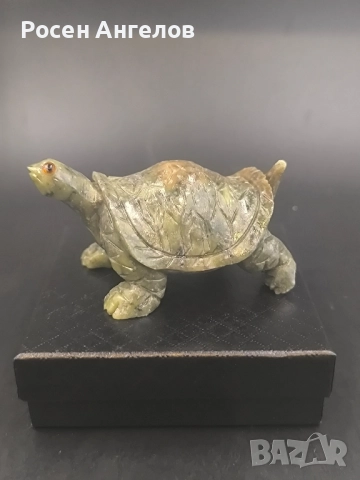 Нефритена Костенурка 