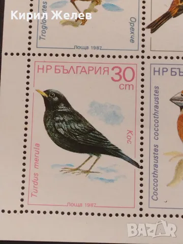 Пощенски марки чиста комплектна серия ЖИВОТНИ ПТИЦИ поща НРБЪЛГАРИЯ за КОЛЕКЦИЯ 46526, снимка 5 - Филателия - 47322476