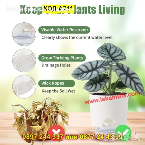 Самополиваща се саксия с резервоар и фитил - КОД А711, снимка 6 - Саксии и кашпи - 49703388