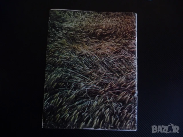 Жената днес 7/85 Панелките Людмила Живкова Ненко Балкански бившият брак мъже със сръчни ръце, снимка 7 - Списания и комикси - 51133524