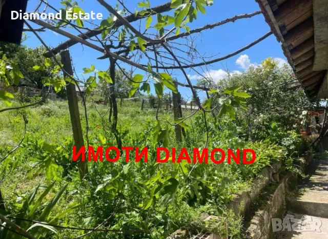 Едноетажна къща в село Рупките общ. Чирпан, снимка 10 - Къщи - 50347947