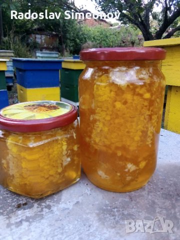 Пчелен мед, снимка 4 - Пчелни продукти - 28106562