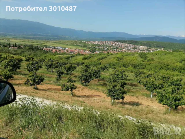 Парцел със сглобяема постройка, снимка 2 - Земеделска земя - 50419844