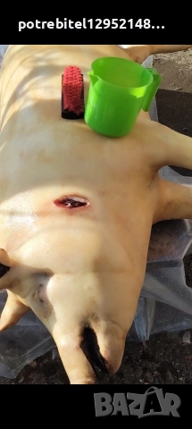 Бахур, селска наденица и свински суджук, снимка 11 - Домашни продукти - 53387501