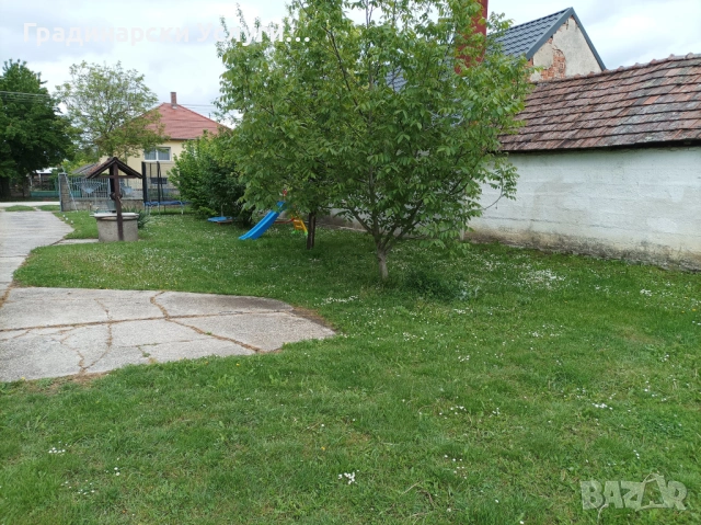 Предлагаме косене, отстраняване и кастрене на дървета, оформяне на храсти и други градинарски услуги, снимка 4 - Други почистващи услуги - 53608621