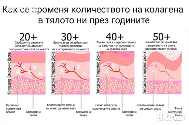 Черешово желе с нар и колаген , снимка 7 - Хранителни добавки - 37949694