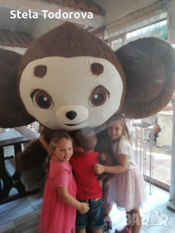 Парти, снимка 5 - Други услуги - 51978377