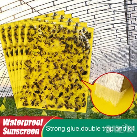 Ленти против насекоми, лепенки против инсекти, белокрилки, черни мушици  , снимка 1