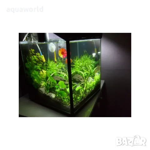 "ПРОМОЦИЯ" SeaChem pH Alert