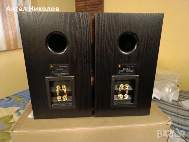 Продавам тонколони SWANS DIY 2.2, снимка 5 - Тонколони - 53480593