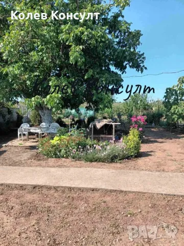 Продавам животновъдно и земеделско стопанство в град Симеоновград , снимка 16 - Земеделска земя - 48819919