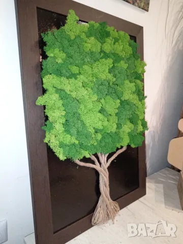 Картина от Скандинавски мъх , снимка 2 - Декорация за дома - 48915651