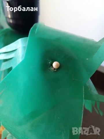 Нощна лампа от соц-а , снимка 14 - Настолни лампи - 50866137