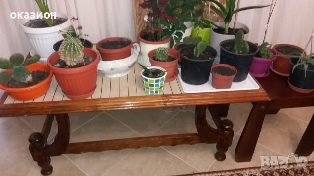 две маси холна и помощна +цветята, снимка 2 - Маси - 53507221