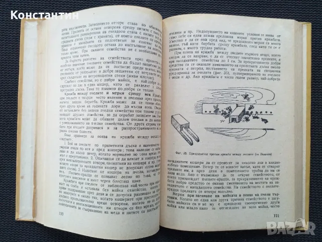 ПЧЕЛАРСТВО , снимка 5 - Специализирана литература - 49978157