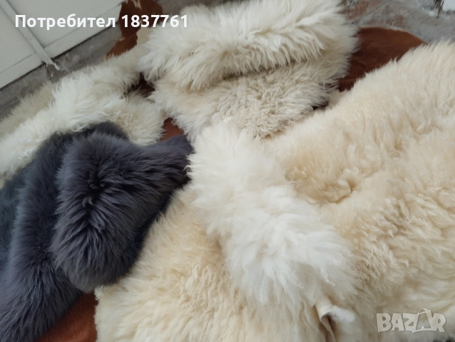 Естествени кожи , снимка 5 - Декорация за дома - 51897338