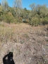 Парцел с. Панчарево, София, снимка 6