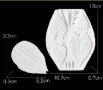 Сет Големи листа вейнър за направа на цвете Божур силиконов молд форма за украса декор торта фондан , снимка 5