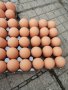 Изкуствени пластмасови яйца за кокошки тежки, снимка 10