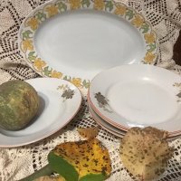 Порцеланови чинии и плато с есенни мотиви, снимка 1 - Сервизи - 38572505