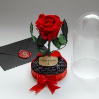 Подарък за Имен Ден / Естествена Вечна Роза в Стъкленица / Оригинален Подарък Жива Вечна Роза, снимка 9 - Подаръци за имен ден - 38771445
