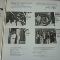 грамофонни плочи Original Punk Rock - live from the CBGB's club, NY, снимка 7 - Грамофонни плочи - 34787698