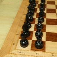 Професионален шах с фигурите